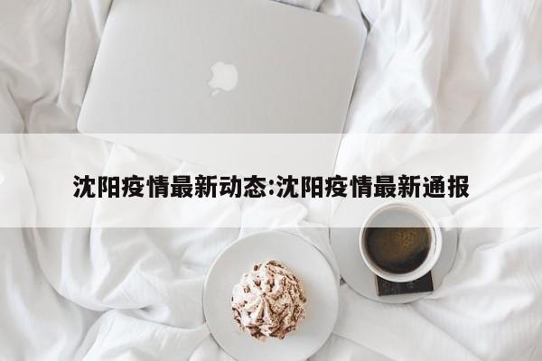 沈阳疫情最新动态:沈阳疫情最新通报