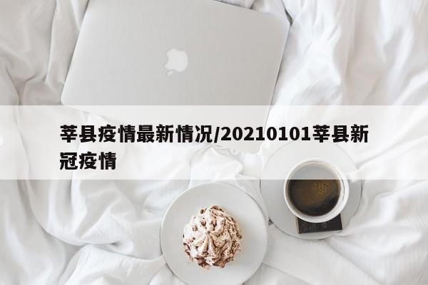 莘县疫情最新情况/20210101莘县新冠疫情