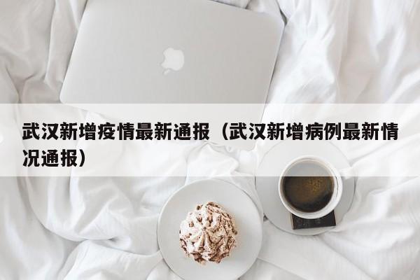 武汉新增疫情最新通报（武汉新增病例最新情况通报）