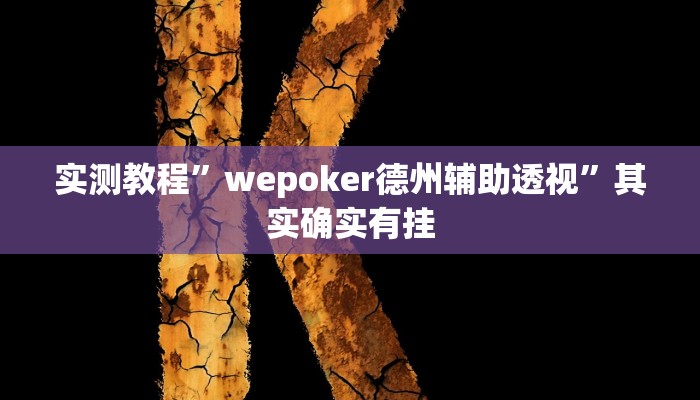 实测教程”wepoker德州辅助透视”其实确实有挂