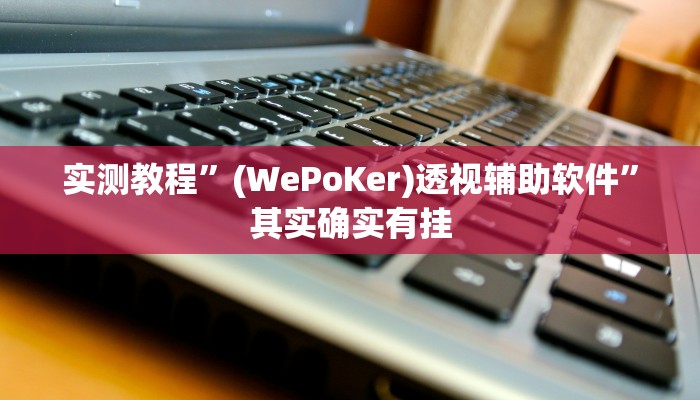 实测教程”(WePoKer)透视辅助软件”其实确实有挂