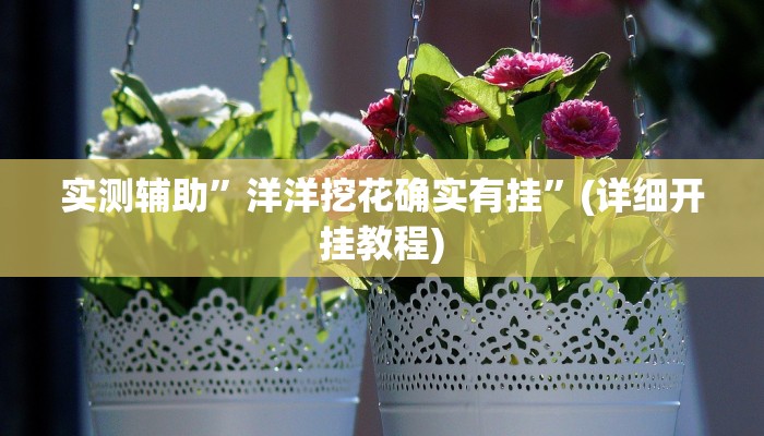 实测辅助”洋洋挖花确实有挂”(详细开挂教程)
