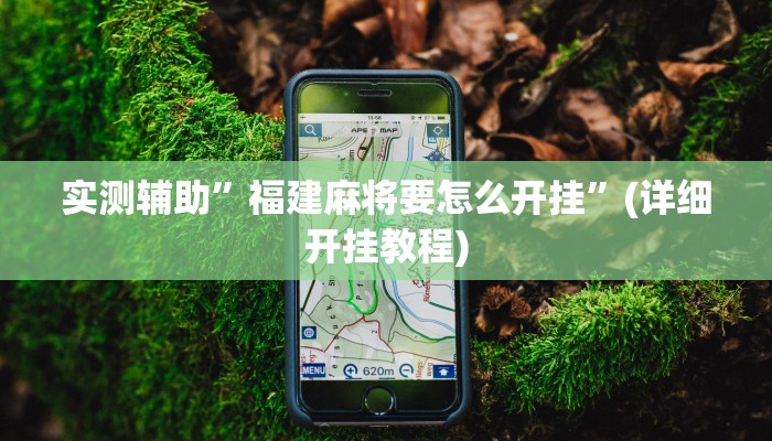 实测辅助”福建麻将要怎么开挂”(详细开挂教程)