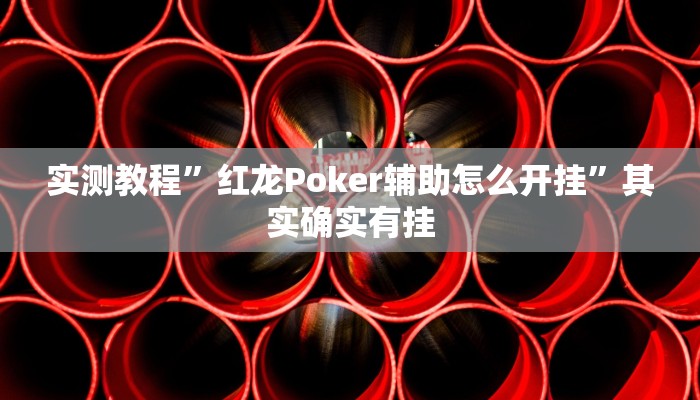实测教程”红龙Poker辅助怎么开挂”其实确实有挂