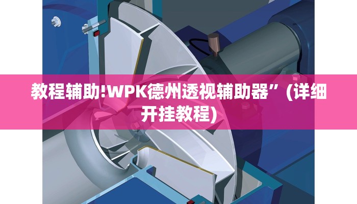教程辅助!WPK德州透视辅助器”(详细开挂教程)