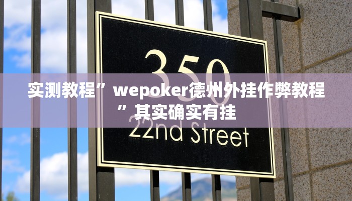 实测教程”wepoker德州外挂作弊教程”其实确实有挂