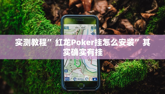 实测教程”红龙Poker挂怎么安装”其实确实有挂