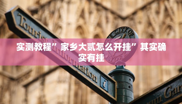 实测教程”家乡大贰怎么开挂”其实确实有挂