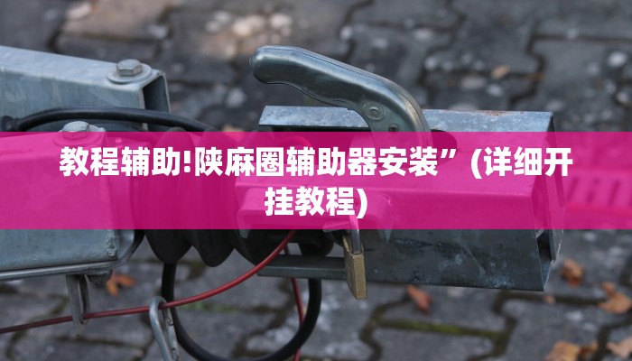 教程辅助!陕麻圈辅助器安装”(详细开挂教程)