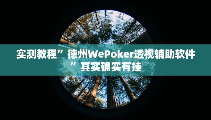 实测教程”德州WePoker透视辅助软件”其实确实有挂