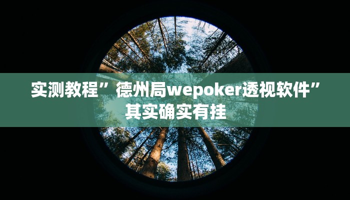 实测教程”德州局wepoker透视软件”其实确实有挂