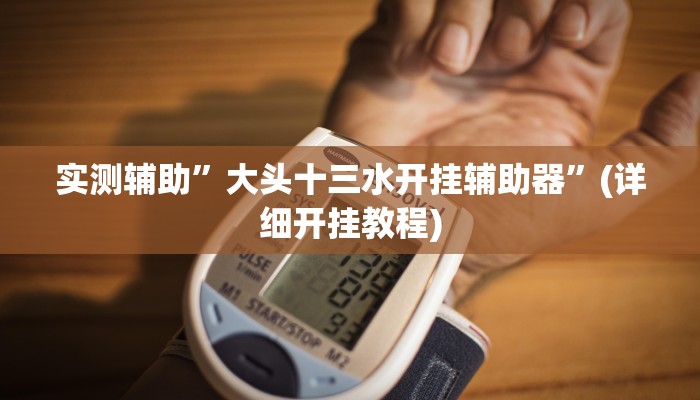 实测辅助”大头十三水开挂辅助器”(详细开挂教程)