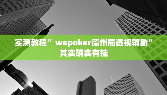 实测教程”wepoker德州局透视辅助”其实确实有挂