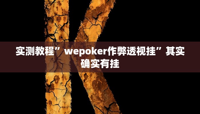 实测教程”wepoker作弊透视挂”其实确实有挂