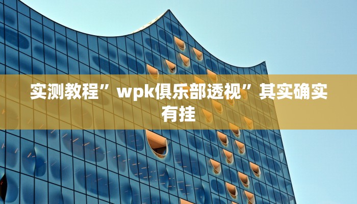 实测教程”wpk俱乐部透视”其实确实有挂