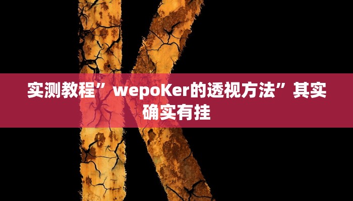 实测教程”wepoKer的透视方法”其实确实有挂