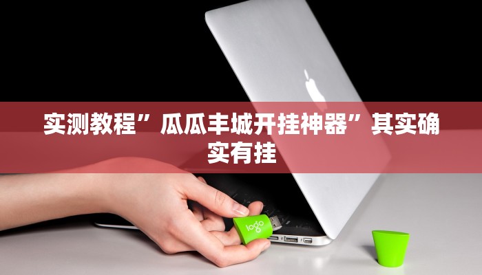 实测教程”瓜瓜丰城开挂神器”其实确实有挂