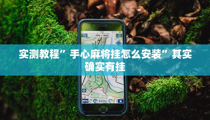 实测教程”手心麻将挂怎么安装”其实确实有挂