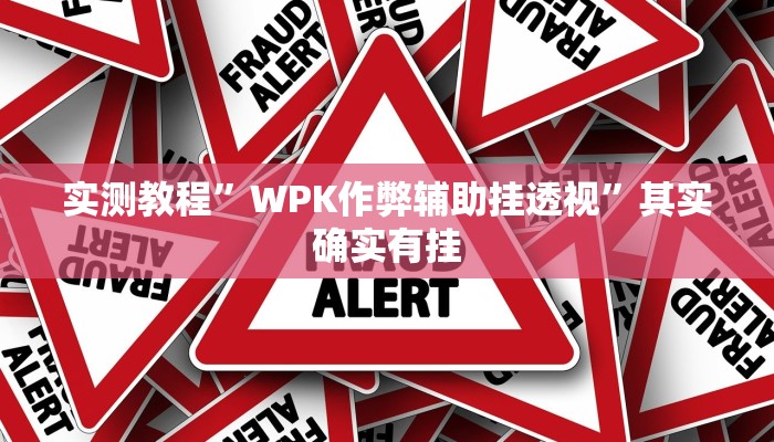 实测教程”WPK作弊辅助挂透视”其实确实有挂
