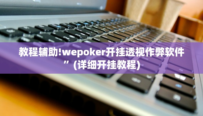 教程辅助!wepoker开挂透视作弊软件”(详细开挂教程)