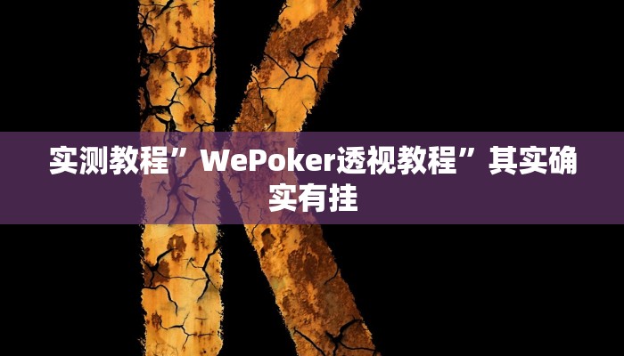 实测教程”WePoker透视教程”其实确实有挂