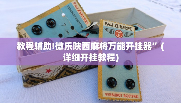 教程辅助!微乐陕西麻将万能开挂器”(详细开挂教程)