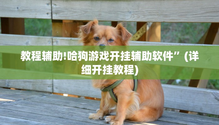 教程辅助!哈狗游戏开挂辅助软件”(详细开挂教程)