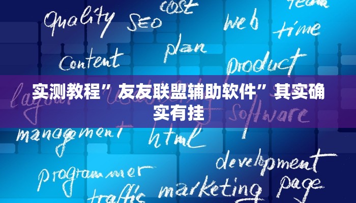 实测教程”友友联盟辅助软件”其实确实有挂