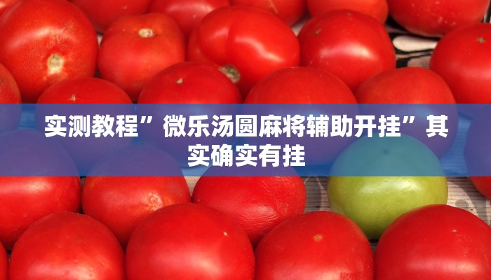 实测教程”微乐汤圆麻将辅助开挂”其实确实有挂