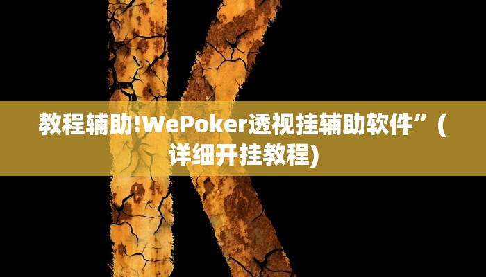 教程辅助!WePoker透视挂辅助软件”(详细开挂教程)