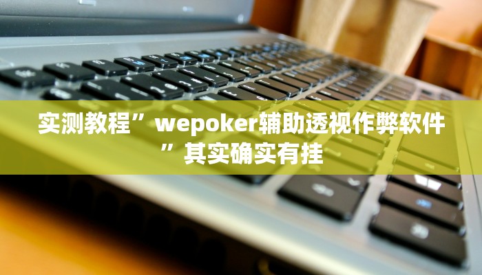 教程辅助!wepoker透视挂作弊挂”(详细开挂教程)