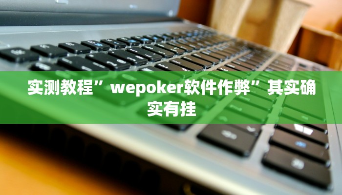 实测教程”随身13道可以开挂吗”其实确实有挂
