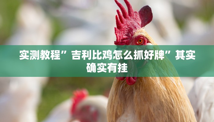 实测教程”吉利比鸡怎么抓好牌”其实确实有挂