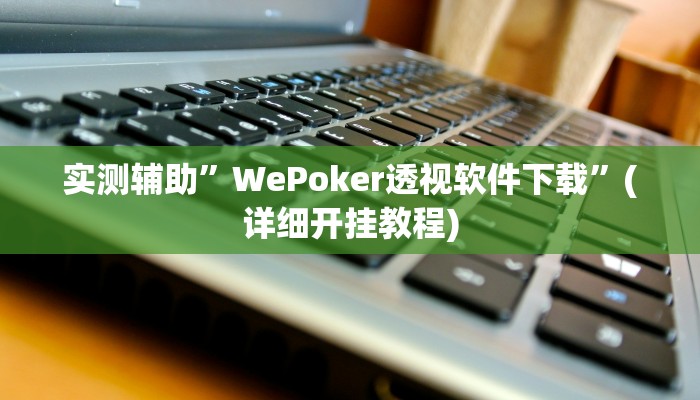 实测辅助”WePoker透视软件下载”(详细开挂教程)