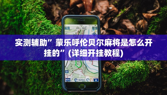 实测辅助”蒙乐呼伦贝尔麻将是怎么开挂的”(详细开挂教程)