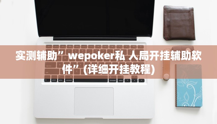 实测辅助”wepoker私 人局开挂辅助软件”(详细开挂教程)