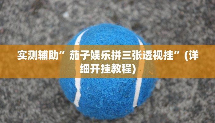 实测辅助”茄子娱乐拼三张透视挂”(详细开挂教程)