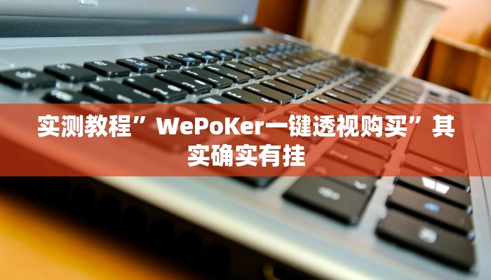 实测教程”WePoKer一键透视购买”其实确实有挂
