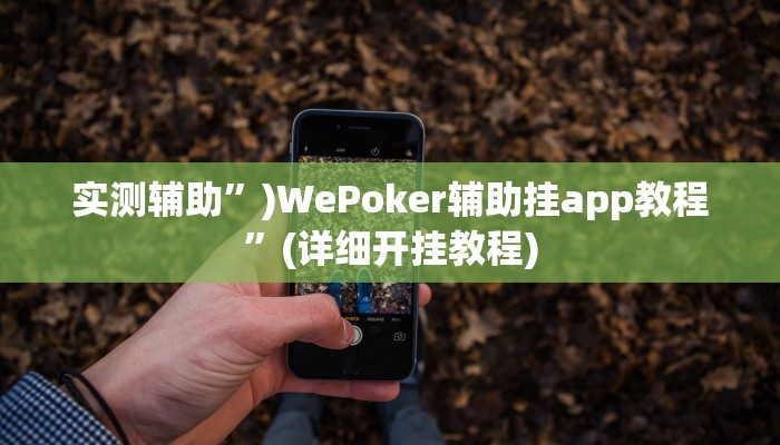 实测辅助”)WePoker辅助挂app教程”(详细开挂教程)