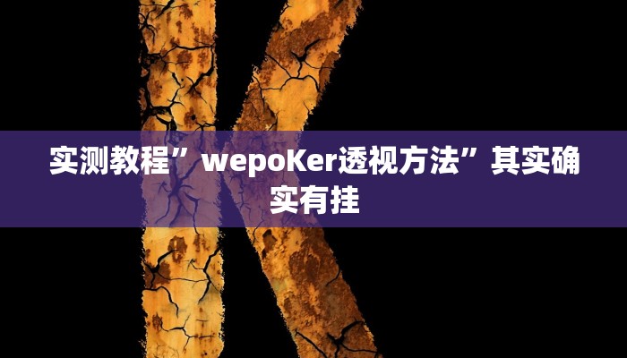 实测教程”wepoKer透视方法”其实确实有挂