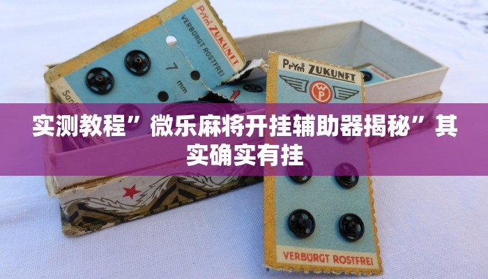 实测教程”微乐麻将开挂辅助器揭秘”其实确实有挂