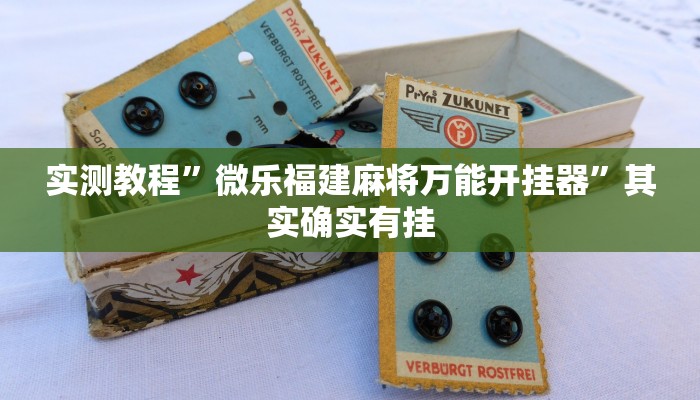 实测教程”微乐福建麻将万能开挂器”其实确实有挂