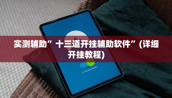 实测辅助”十三道开挂辅助软件”(详细开挂教程)