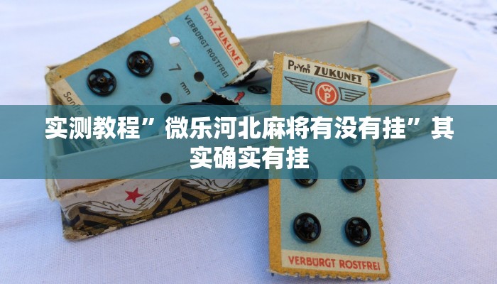实测教程”微乐河北麻将有没有挂”其实确实有挂