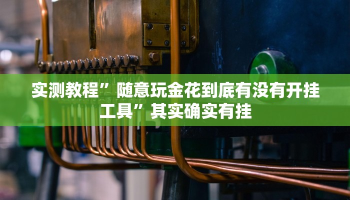 实测教程”随意玩金花到底有没有开挂工具”其实确实有挂