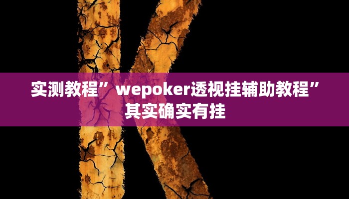 实测教程”wepoker透视挂辅助教程”其实确实有挂
