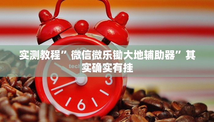 实测教程”微信微乐锄大地辅助器”其实确实有挂