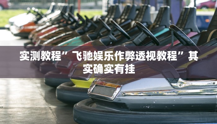 实测教程”飞驰娱乐作弊透视教程”其实确实有挂