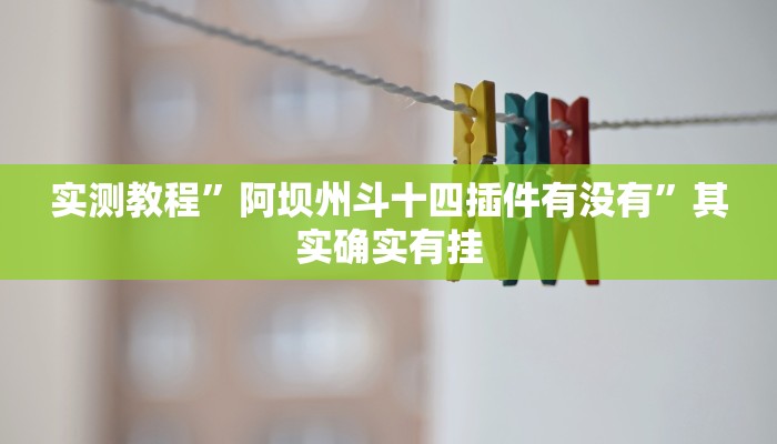 实测教程”阿坝州斗十四插件有没有”其实确实有挂