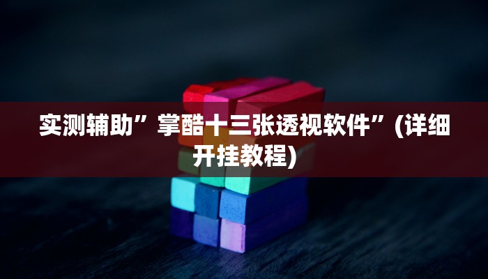 实测辅助”掌酷十三张透视软件”(详细开挂教程)